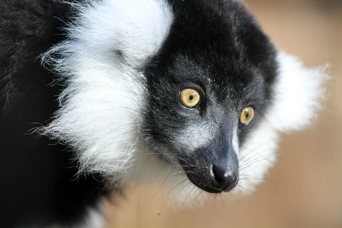 Zoo Veldhoven