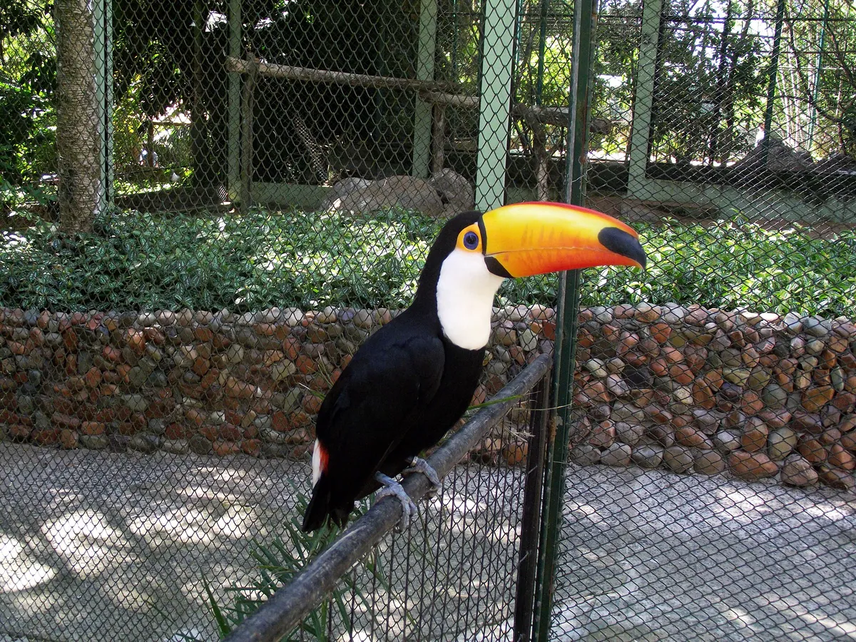 Zoo Pomerode