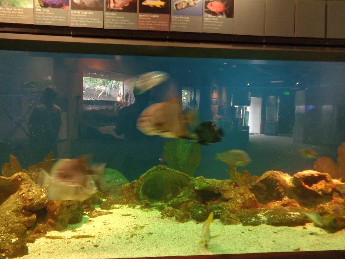 Flint RiverQuarium
