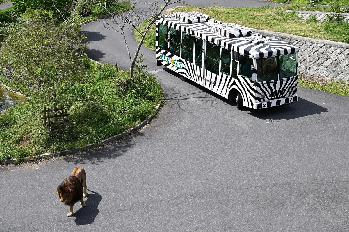 Tama Zoo