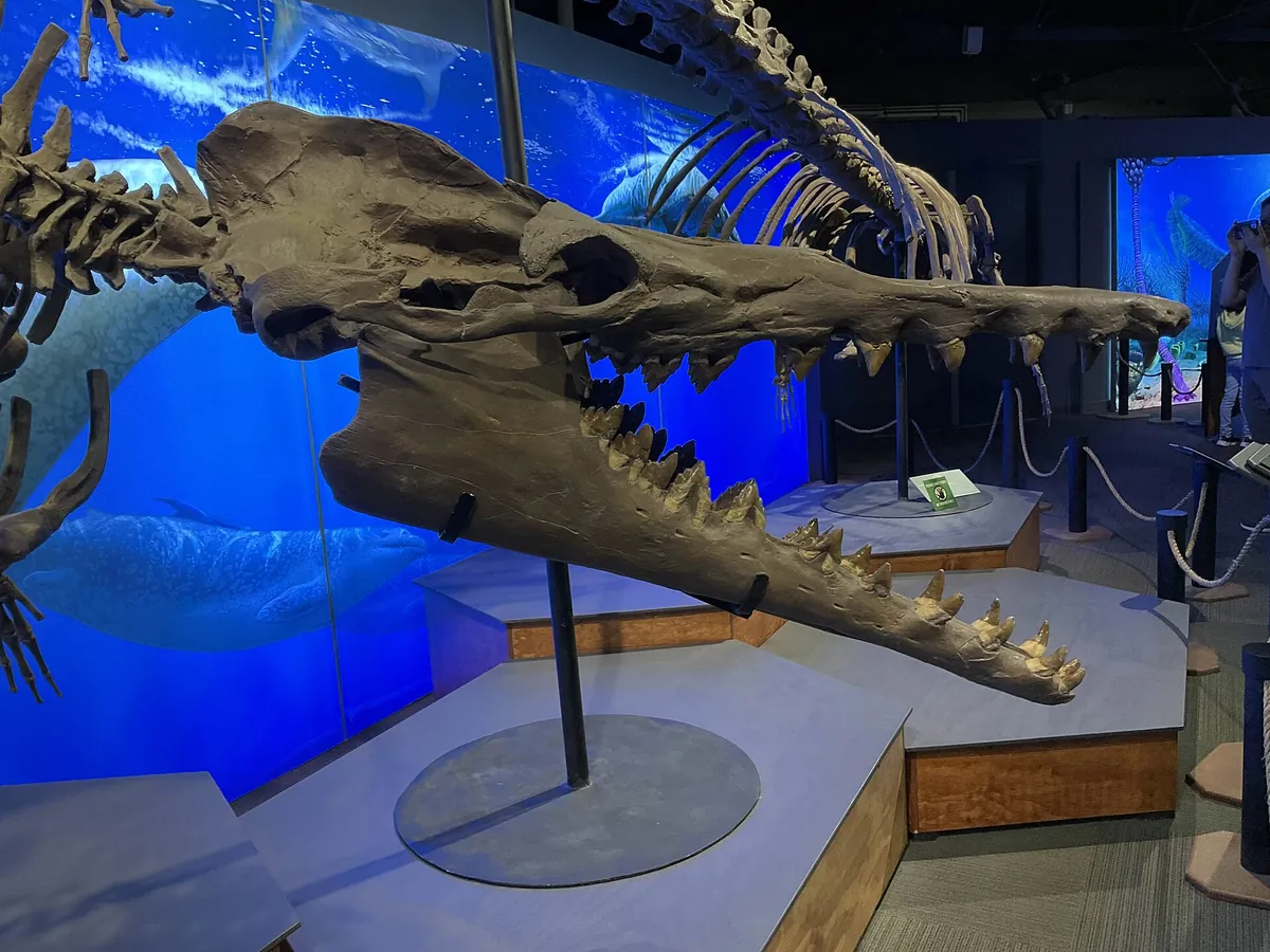 Vancouver Aquarium