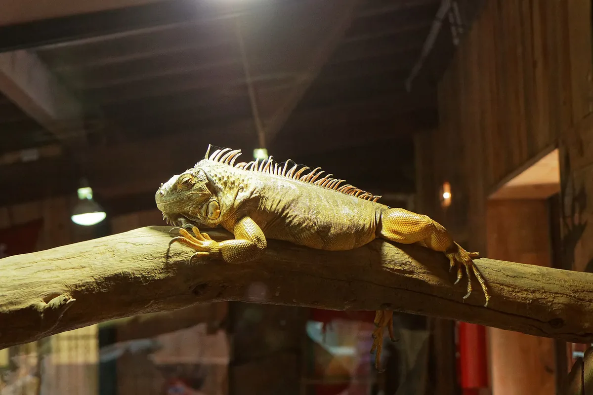 Aquarium du Périgord noir