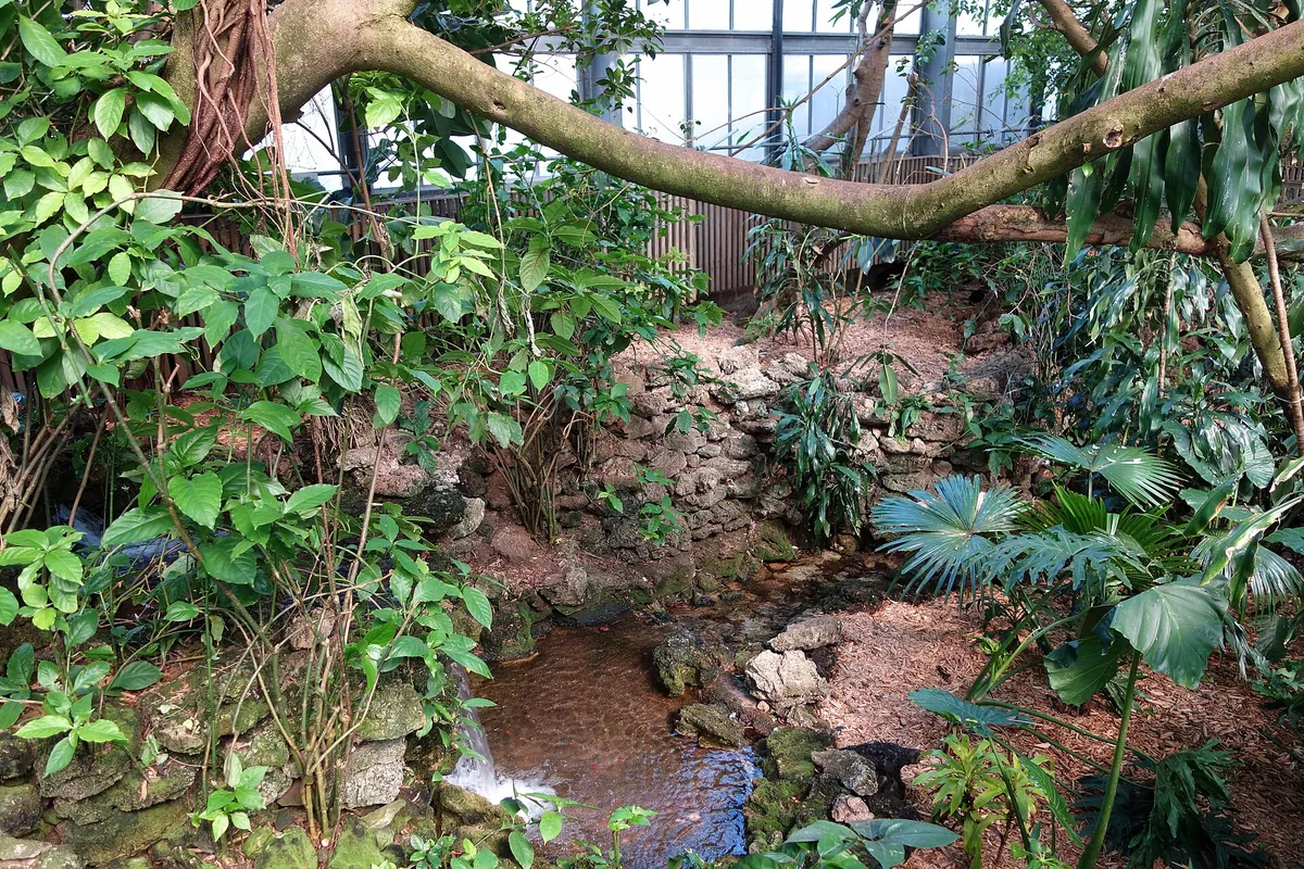 National Aviary