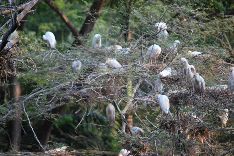 Zoológico El Pantanal