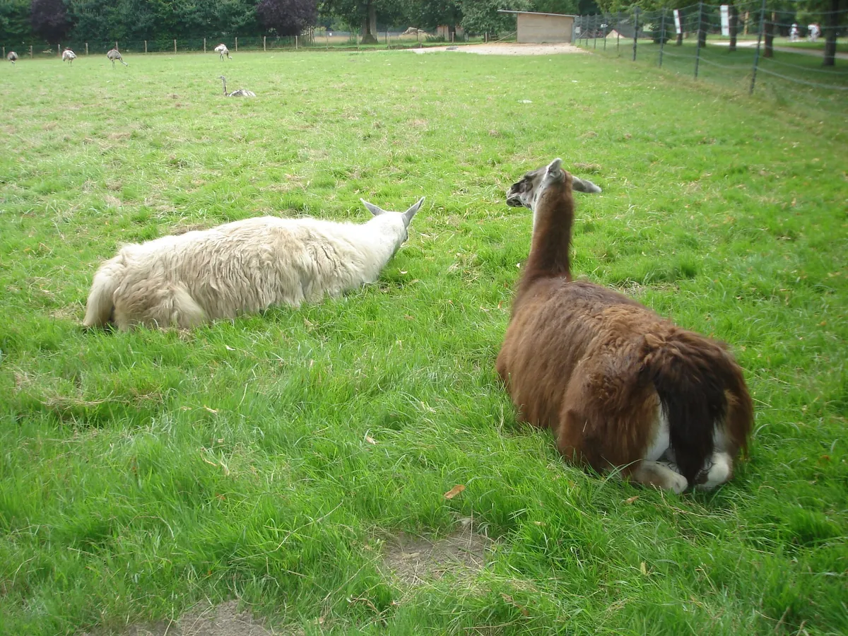 Haute Touche Zoological Park