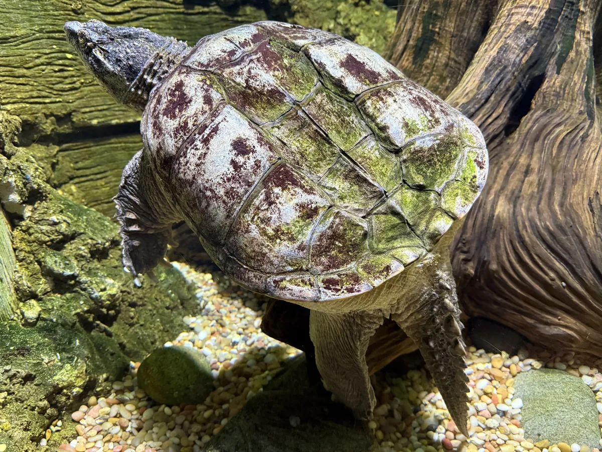 Adventure Aquarium