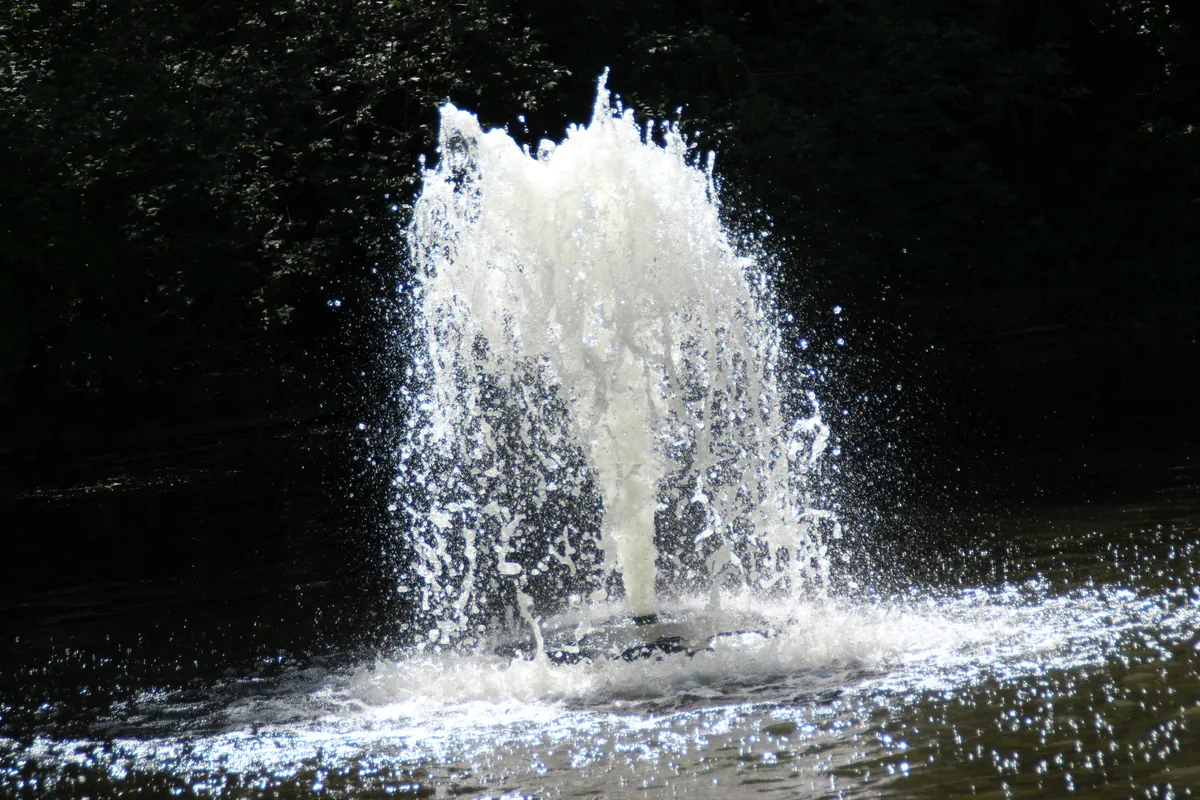 Rostock Zoo