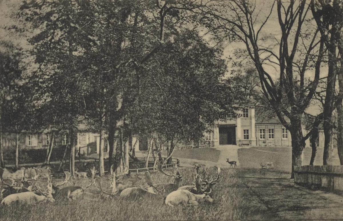 Tiergarten Neustrelitz