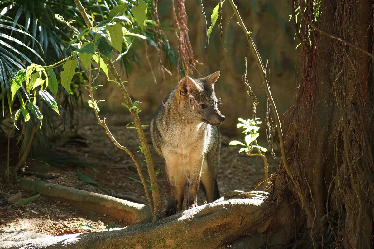 Zoo Pomerode
