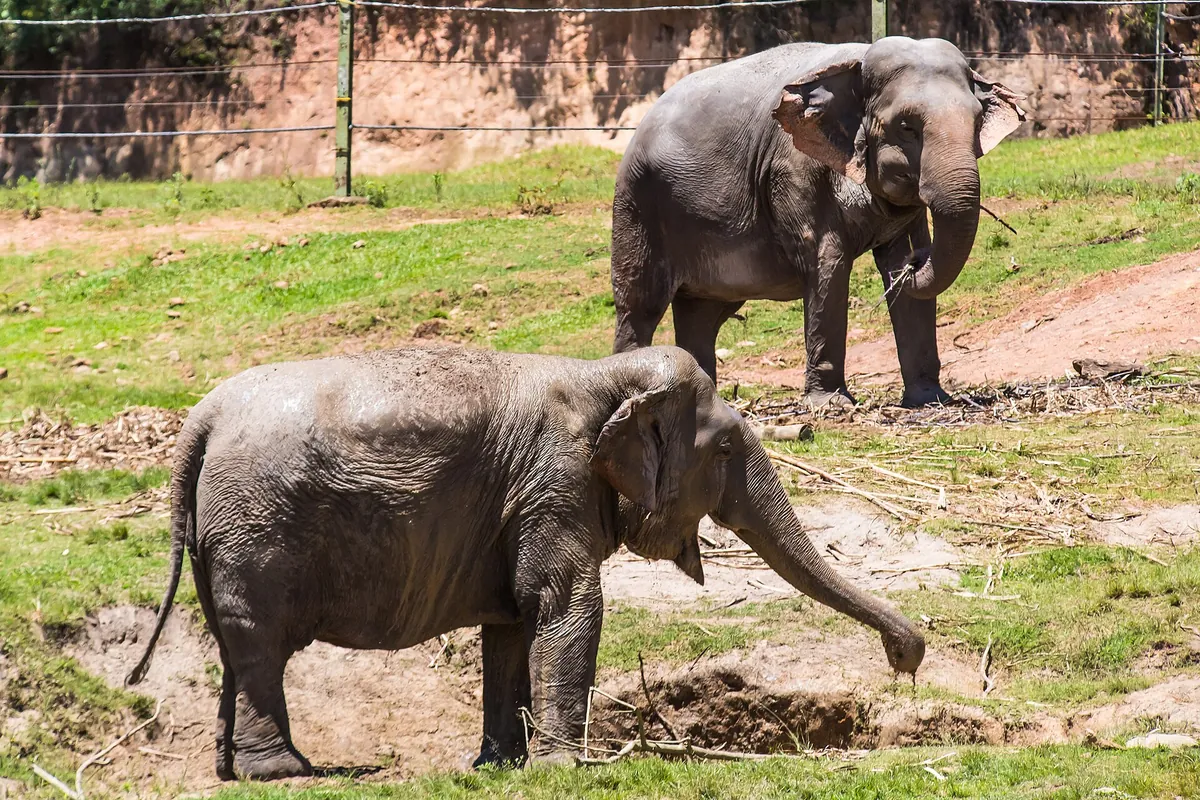 Zooparque Itatiba