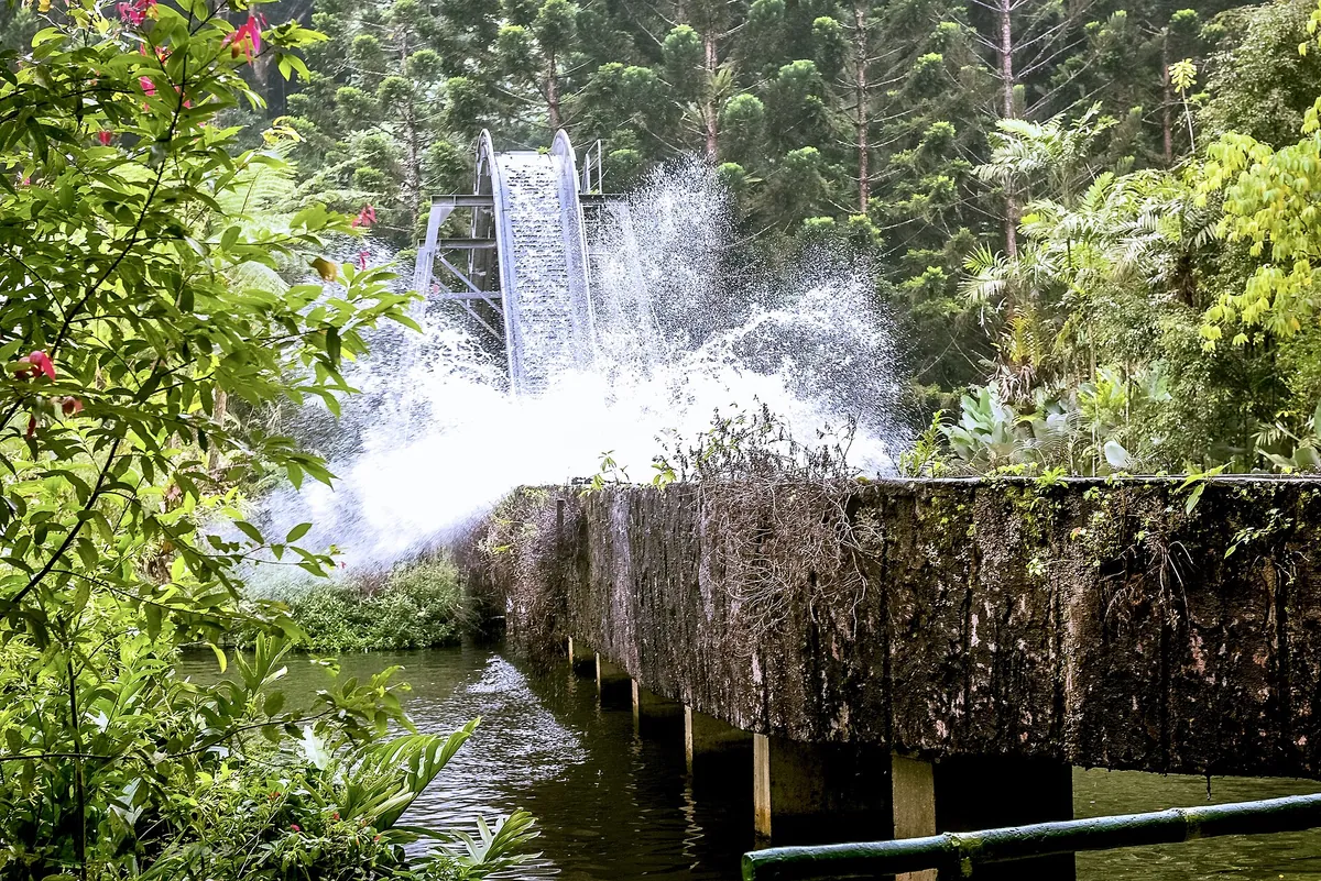 Taman Safari Indonesia