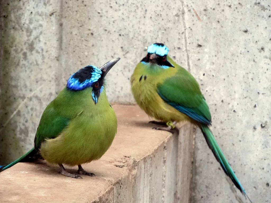 Topeka Zoo and Conservation Center
