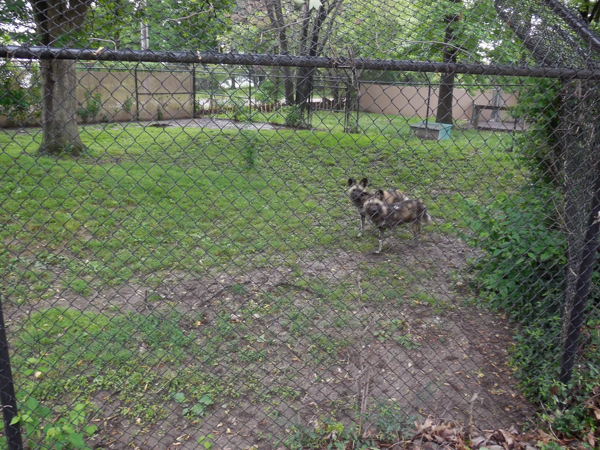 Henson Robinson Zoo