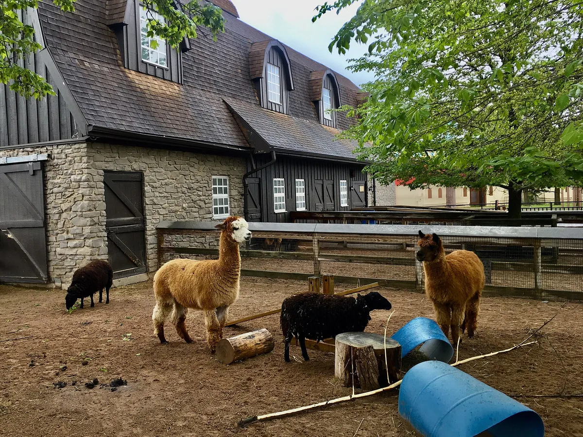 Rosamond Gifford Zoo at Burnet Park