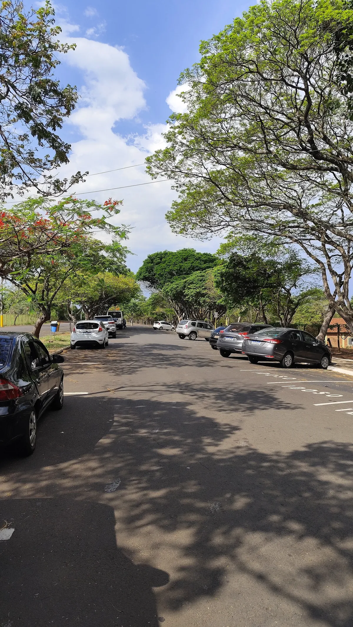 Bauru Zoo