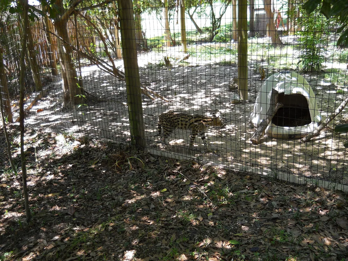 Hattiesburg Zoo