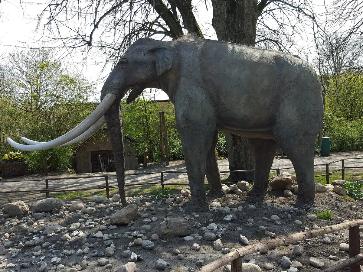 Aalborg Zoo