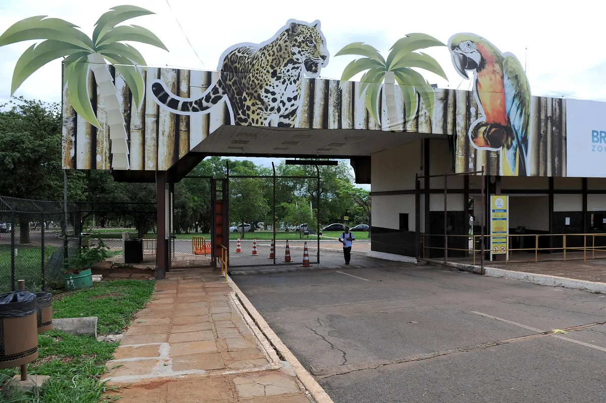 Zoo Brasília
