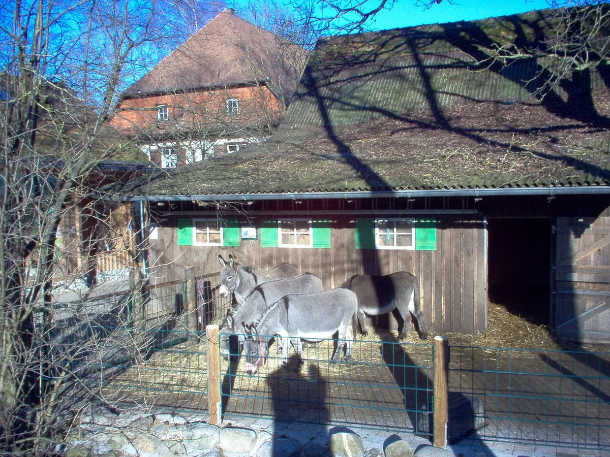 Haustierhof Reutemühle