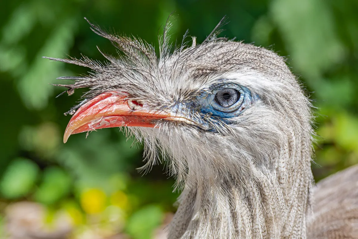 Zoo Schmiding