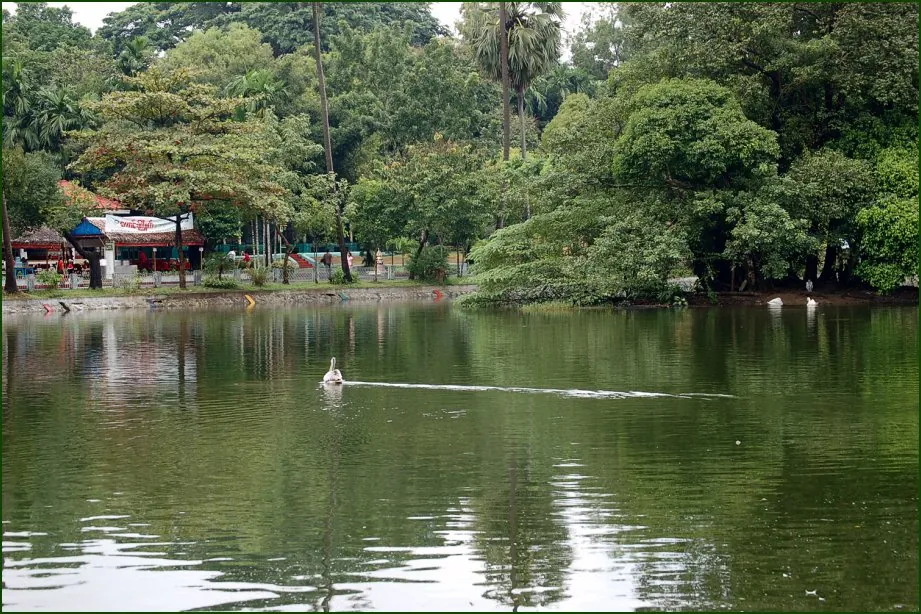 Yangon Zoological Gardens