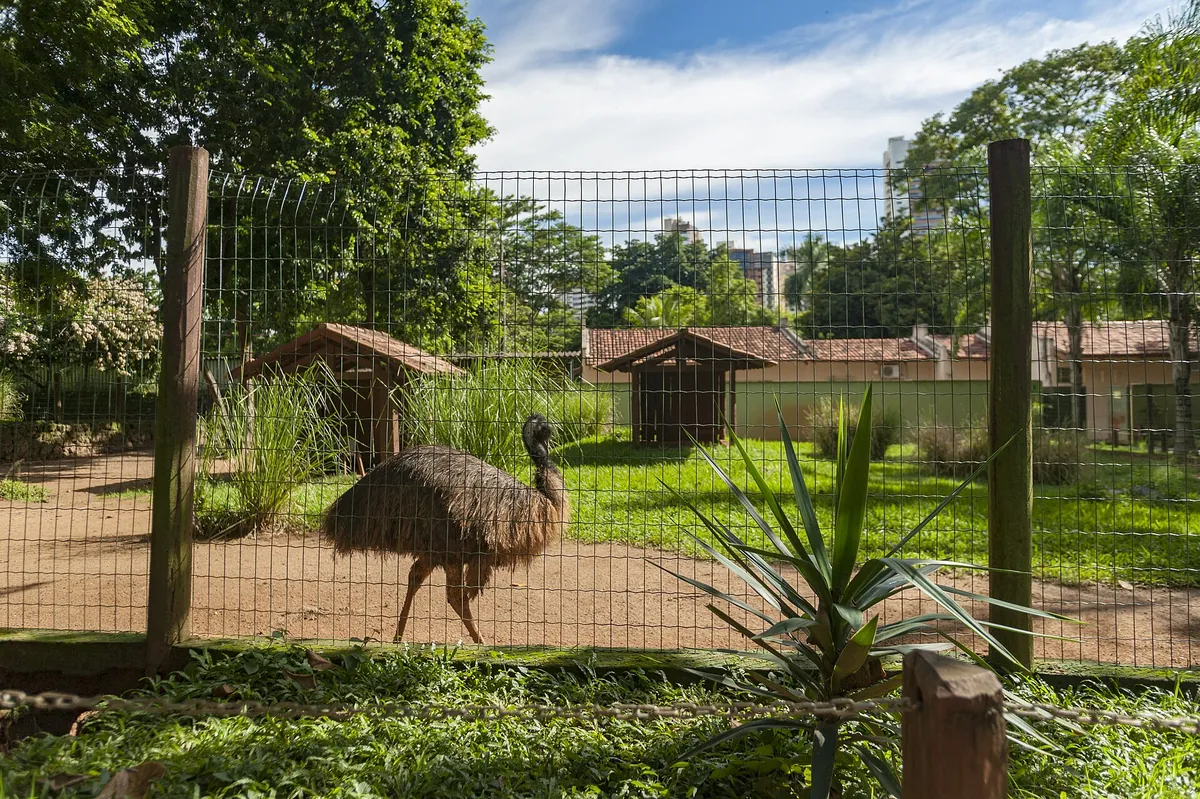 Zoológico de Goiânia