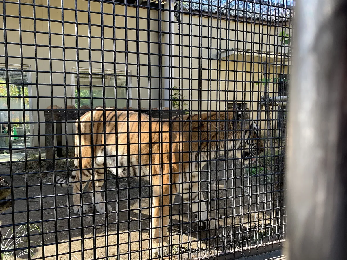 Kyoto City Zoo