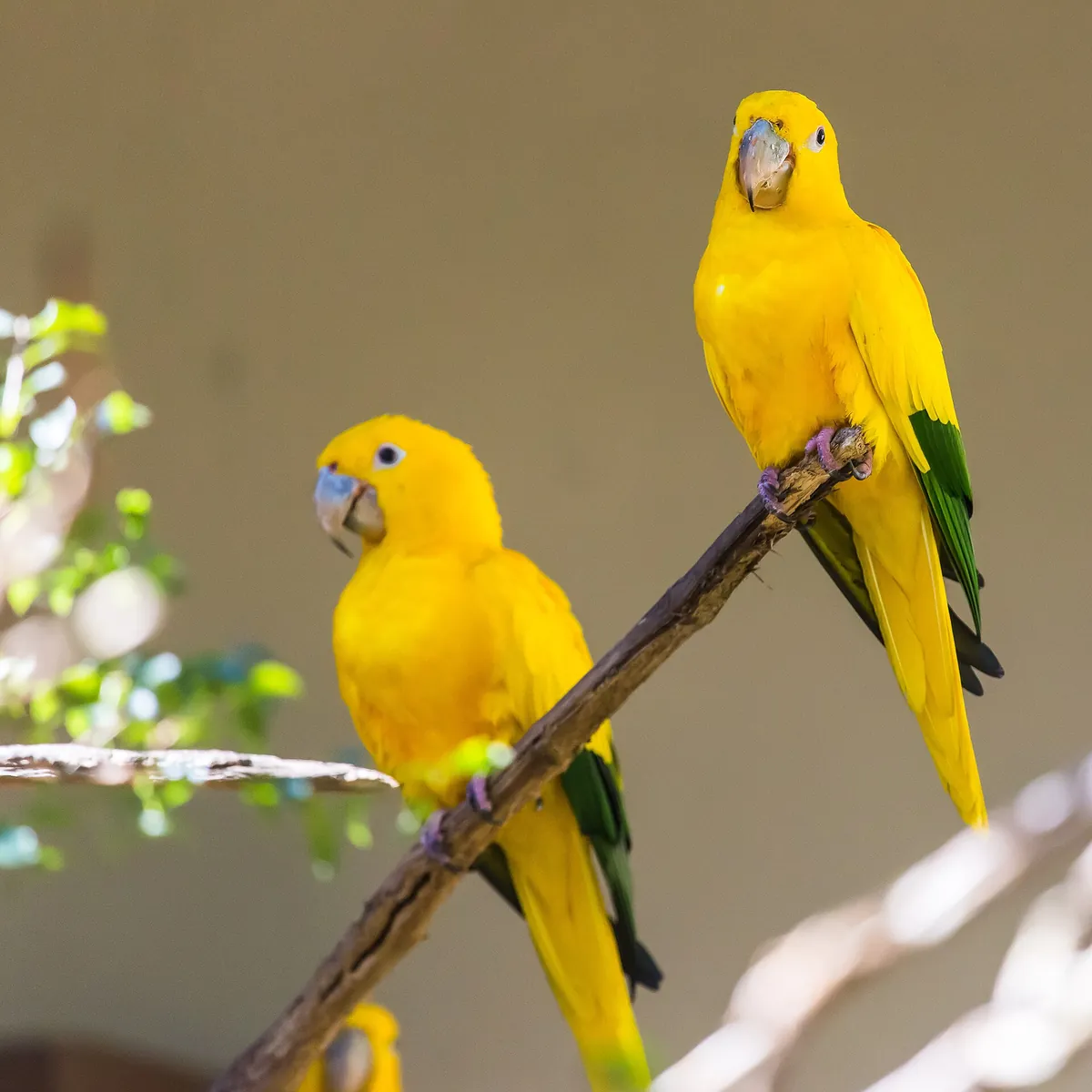 Zooparque Itatiba