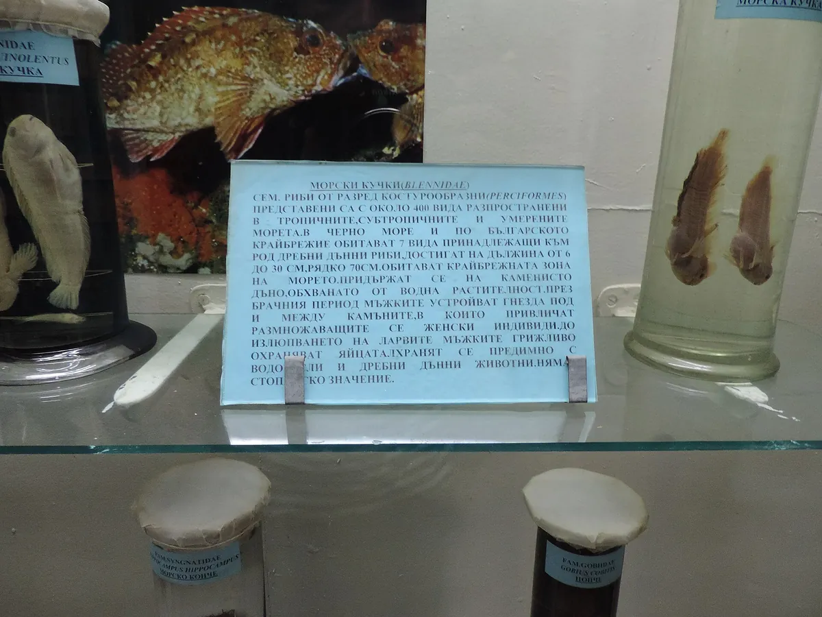 Varna Aquarium