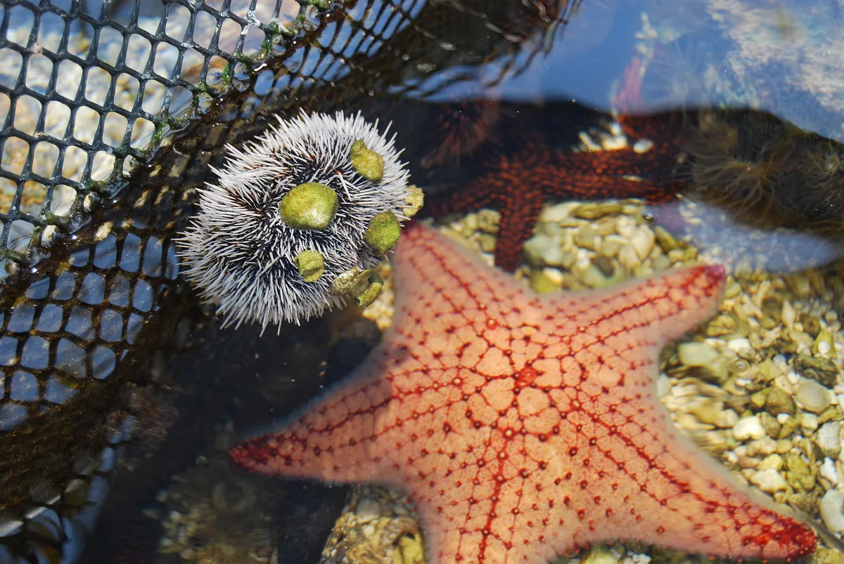 Key West Aquarium