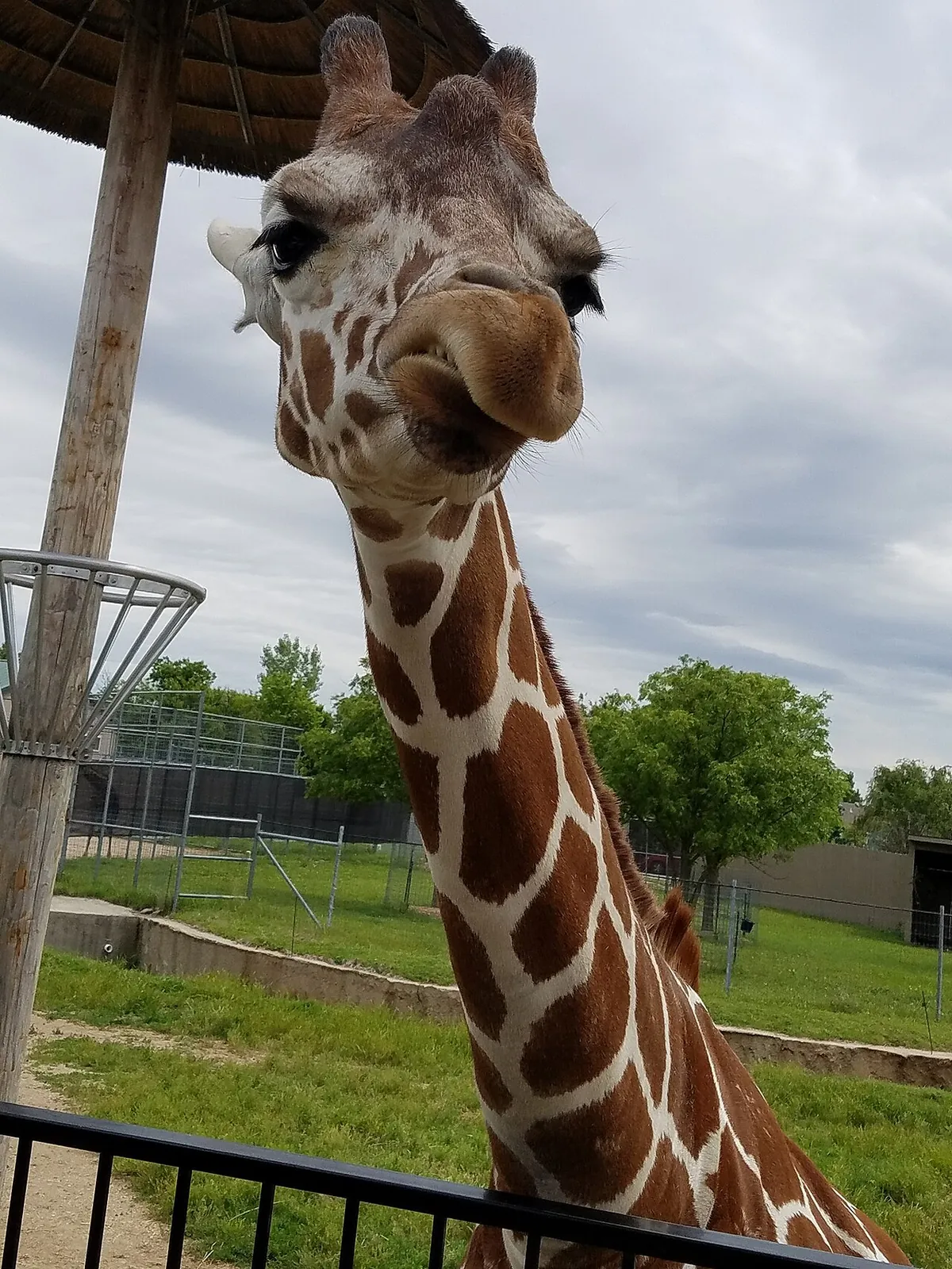 Tanganyika Wildlife Park