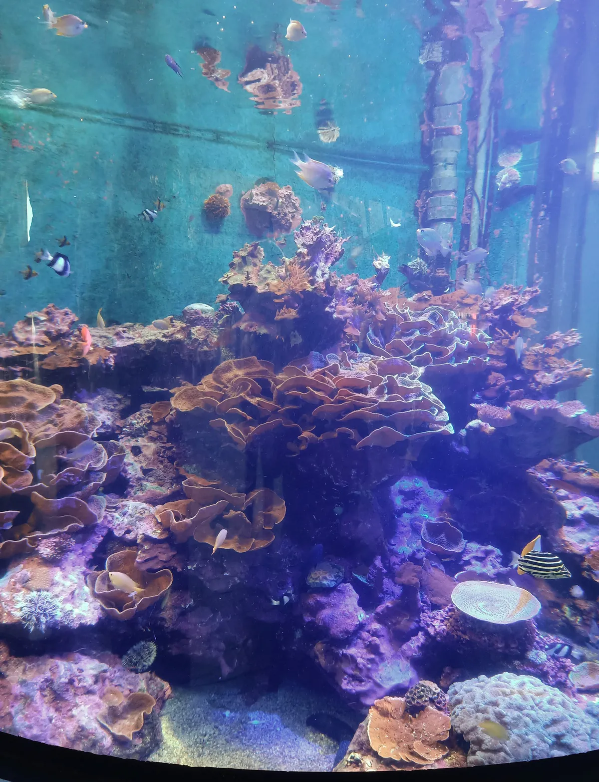 National Museum of Marine Biology and Aquarium