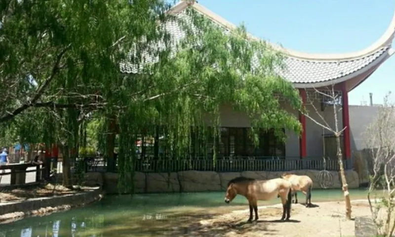 El Paso Zoo