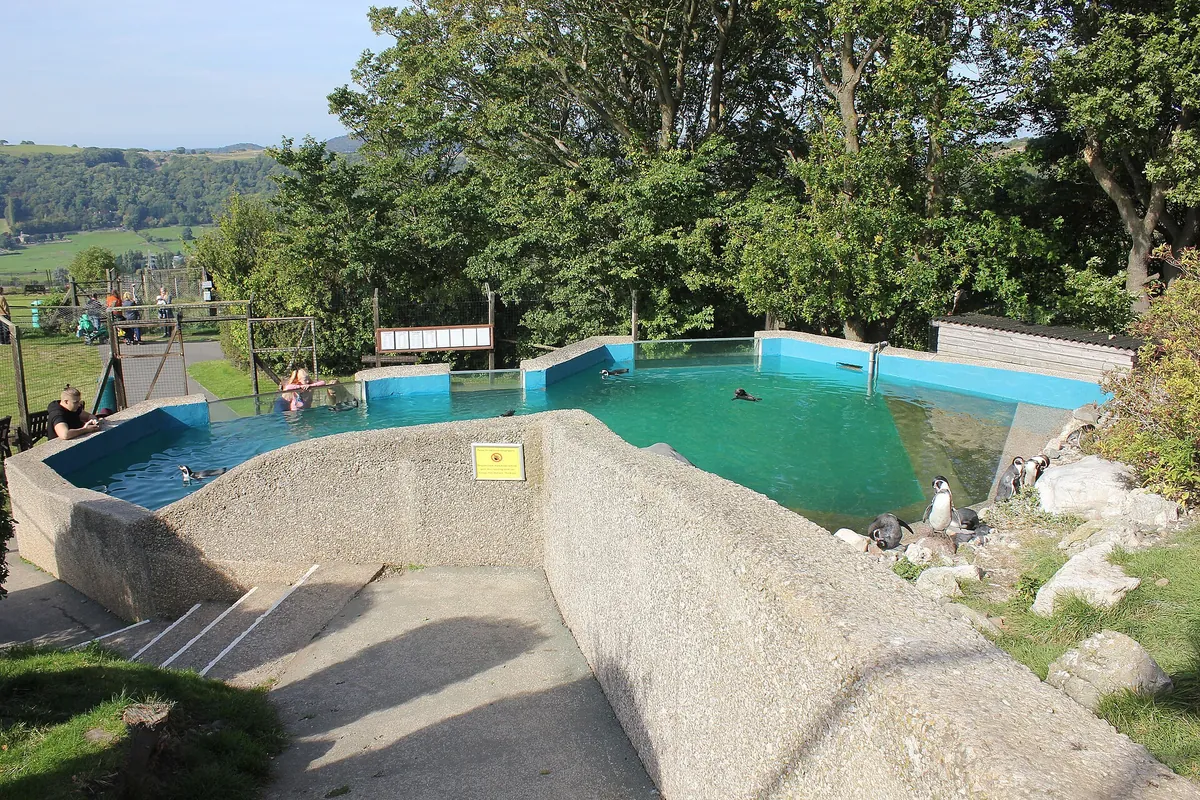 Welsh Mountain Zoo
