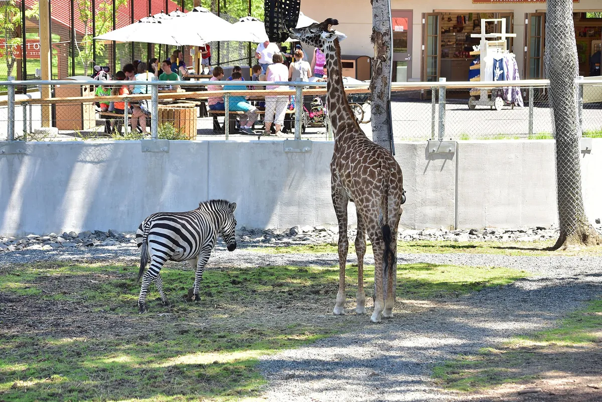 Seneca Park Zoo