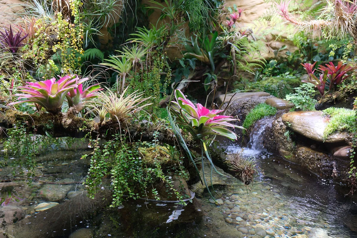 Zoologischer Garten Basel AG