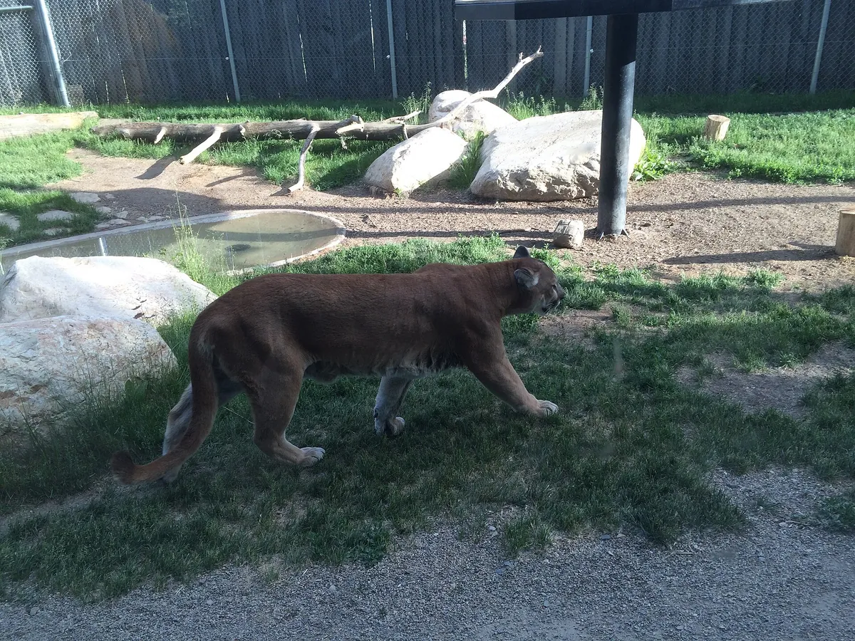 Forestry Farm Park and Zoo