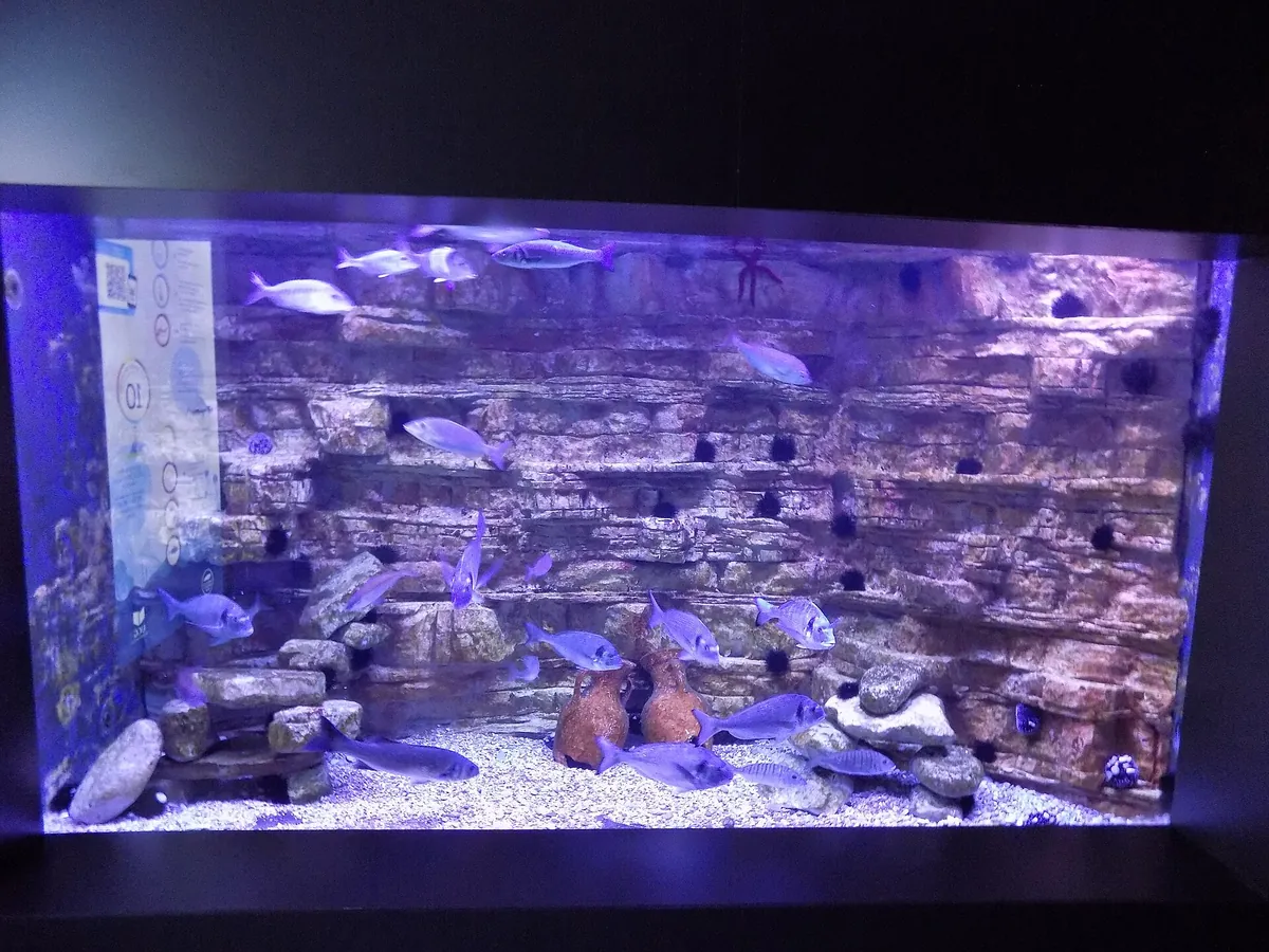 Aquarium Boka