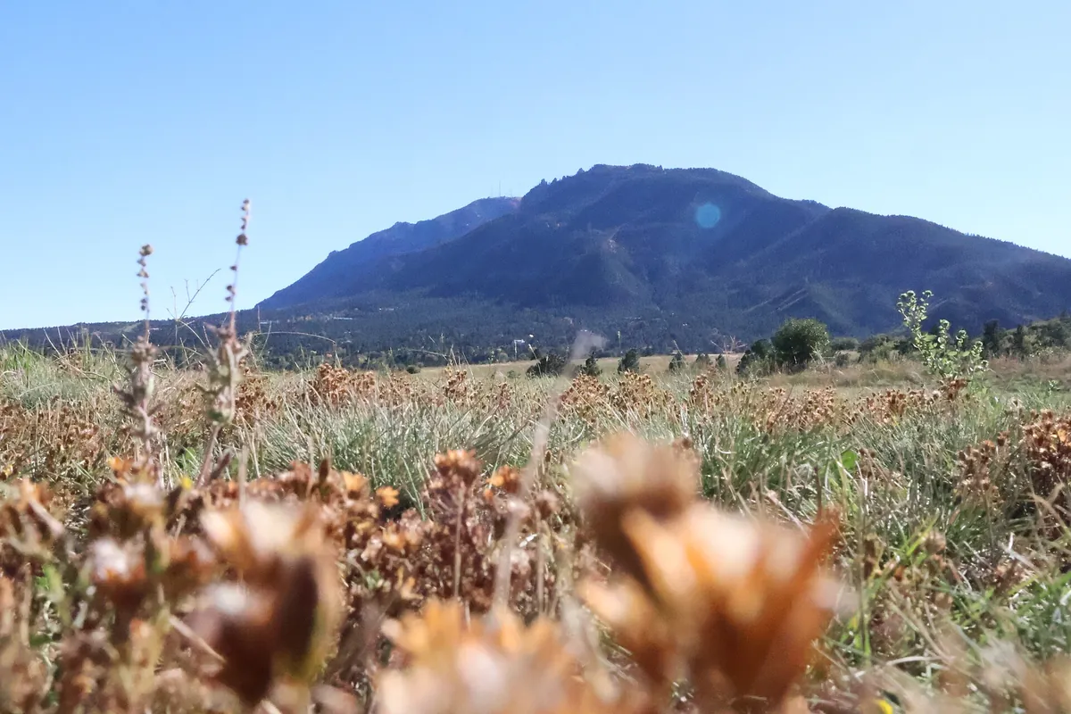 Cheyenne Mountain Zoological Park