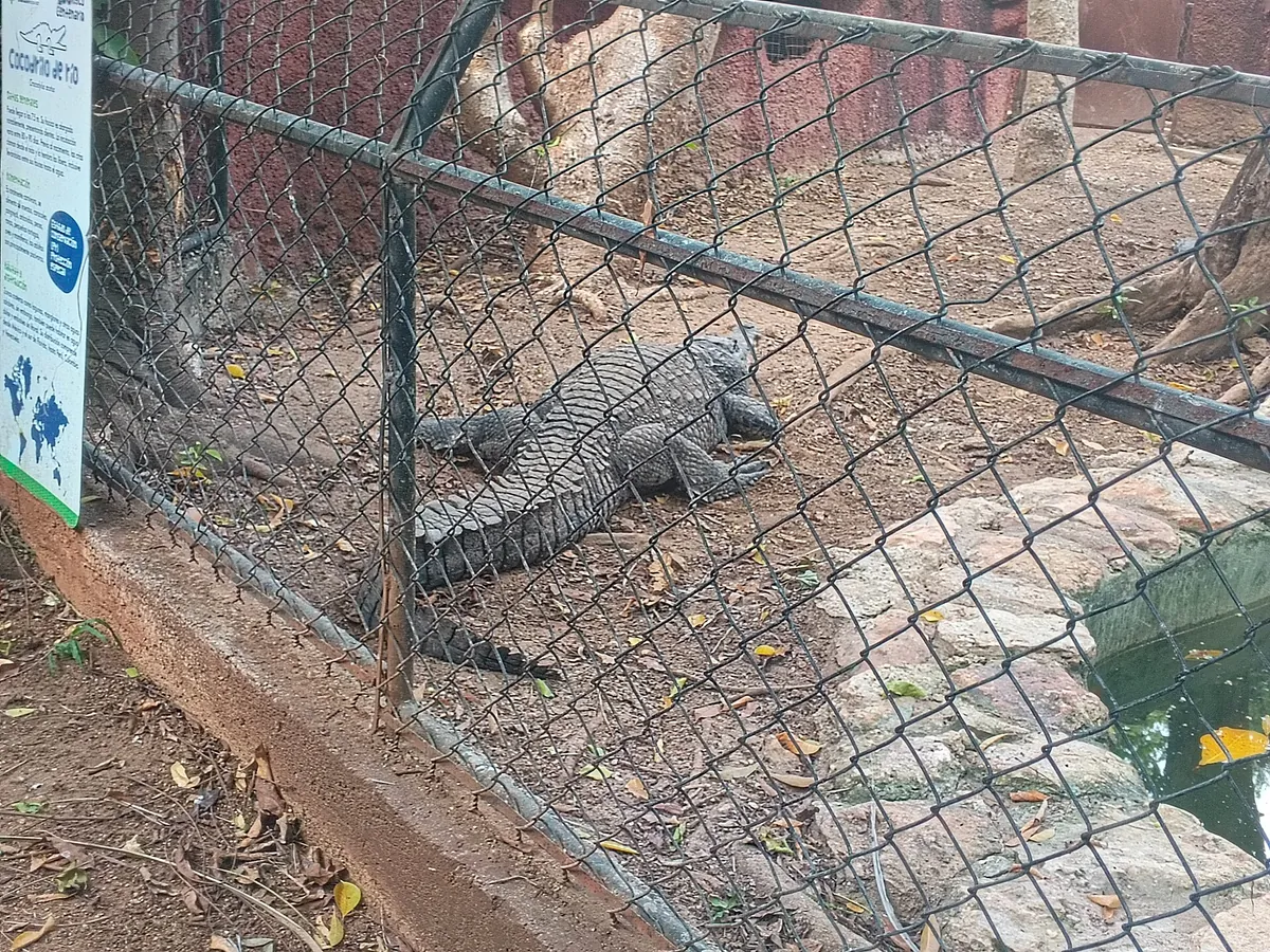 Parque del Centenario