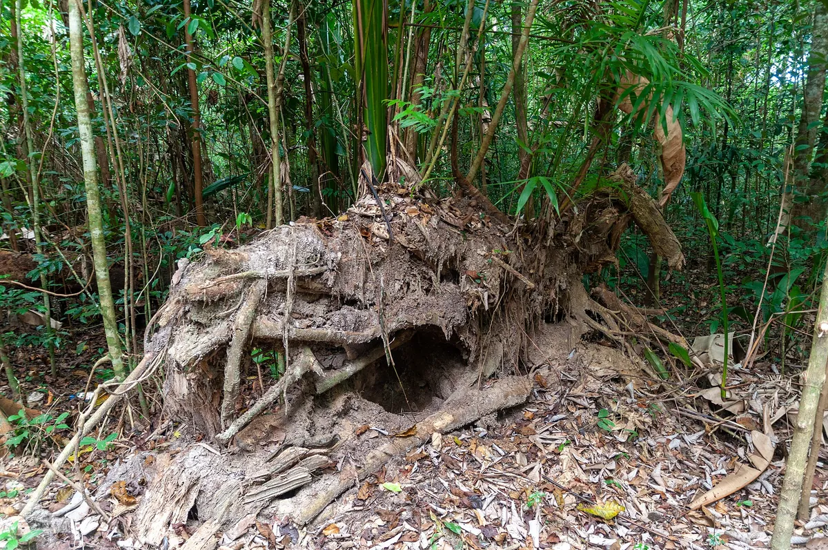 Zoo de Guyane