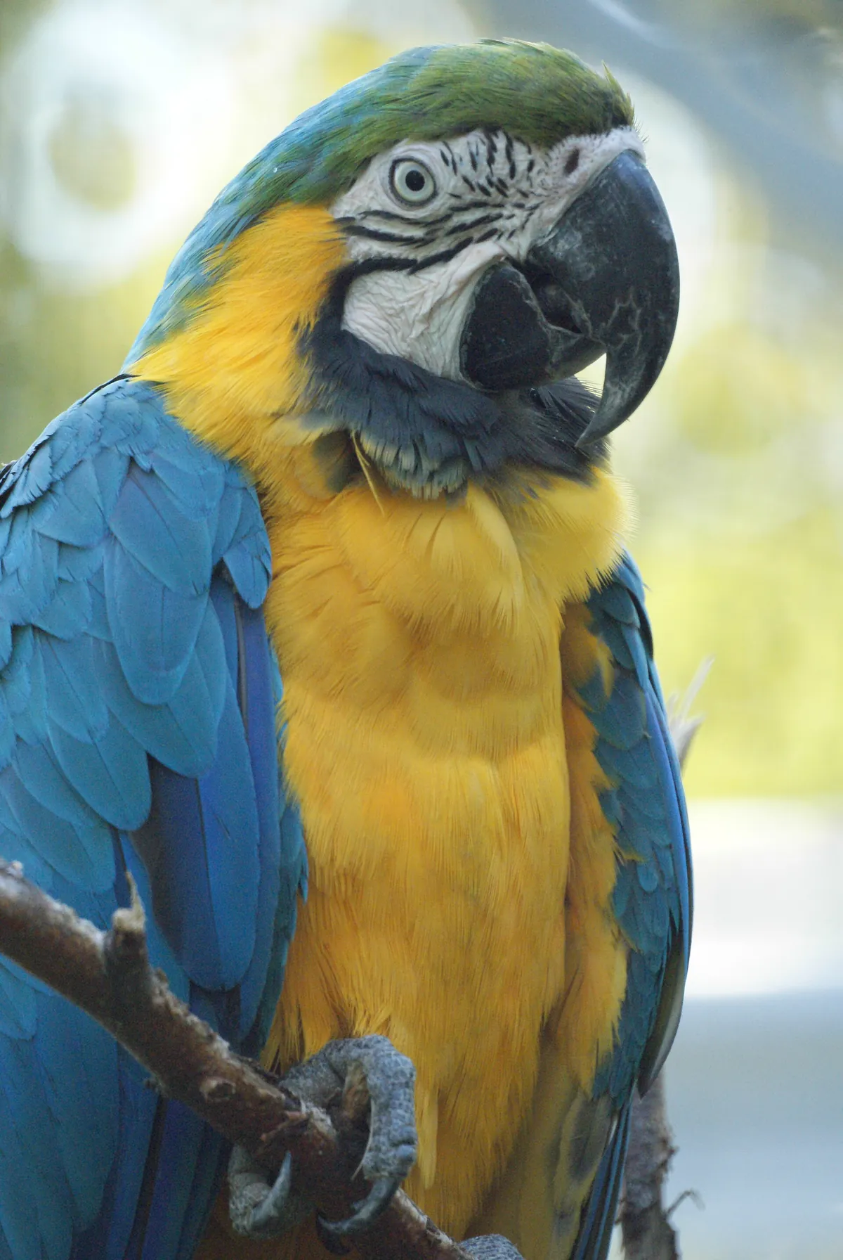 Queens Zoo