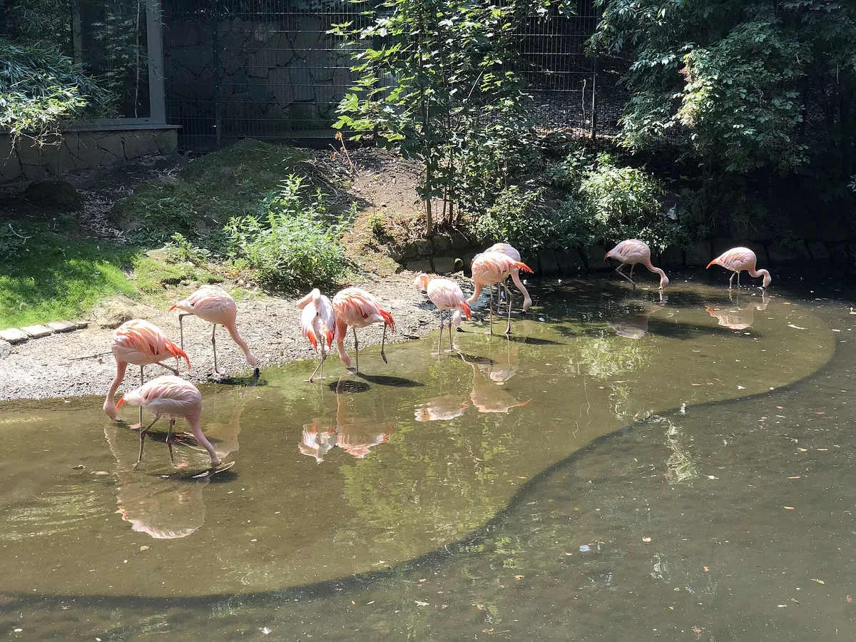 Tiergarten Straubing