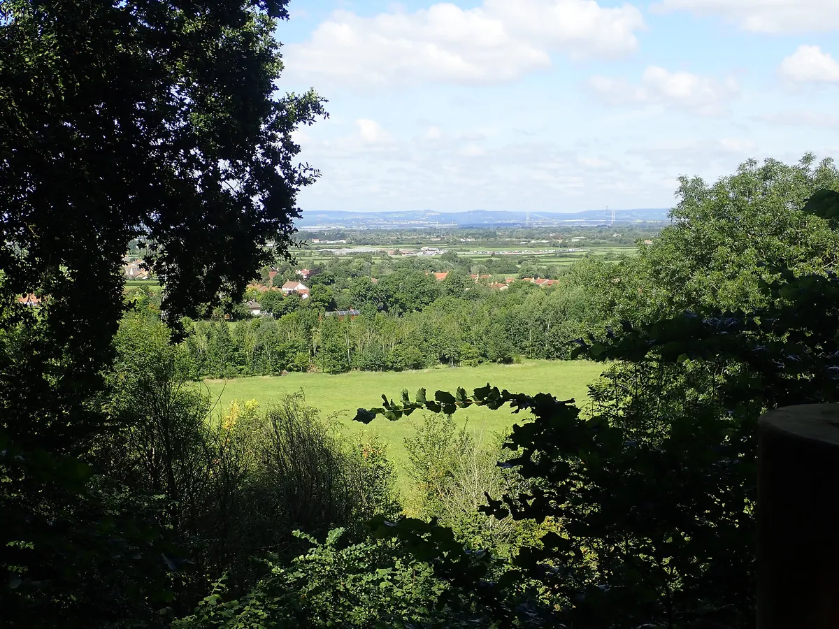 Bristol Zoo Project