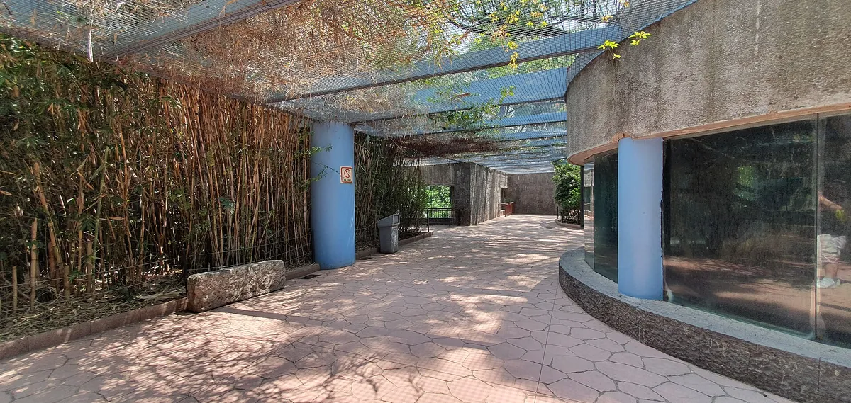 Zoologico de Chapultepec