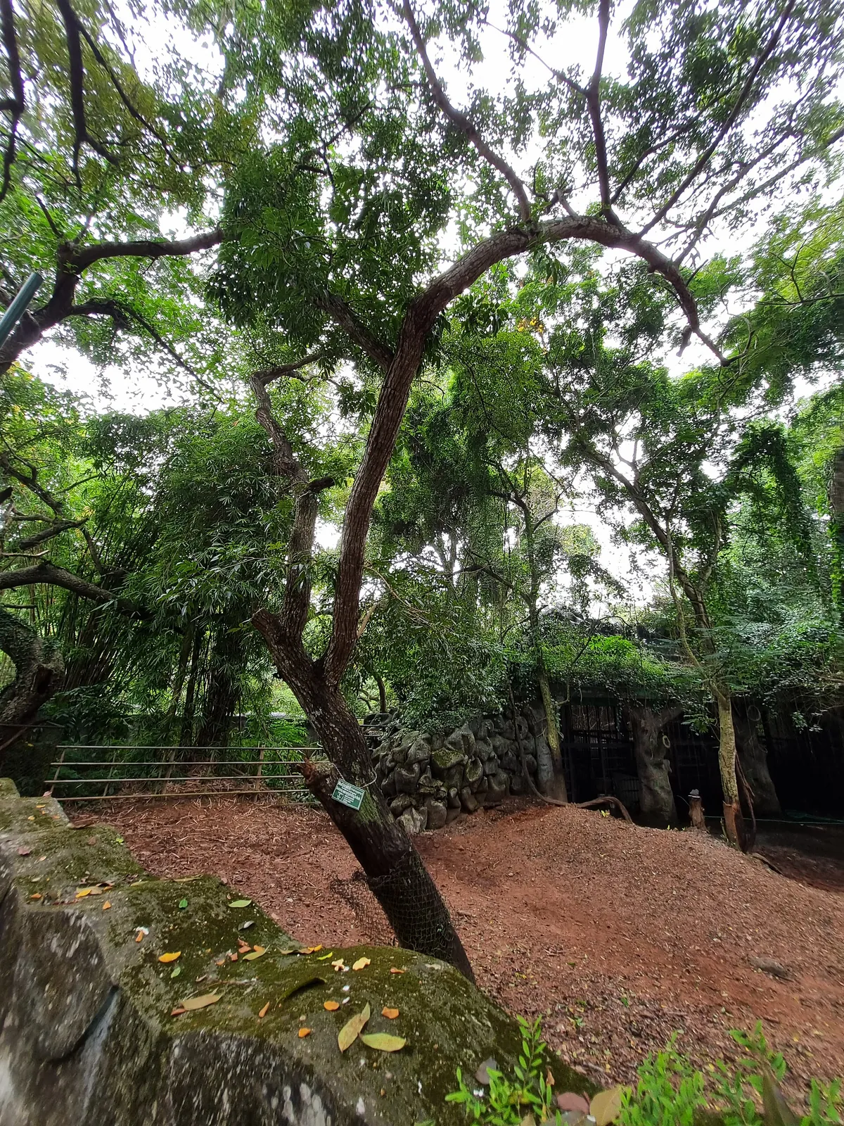 Thiruvananthapuram Zoo