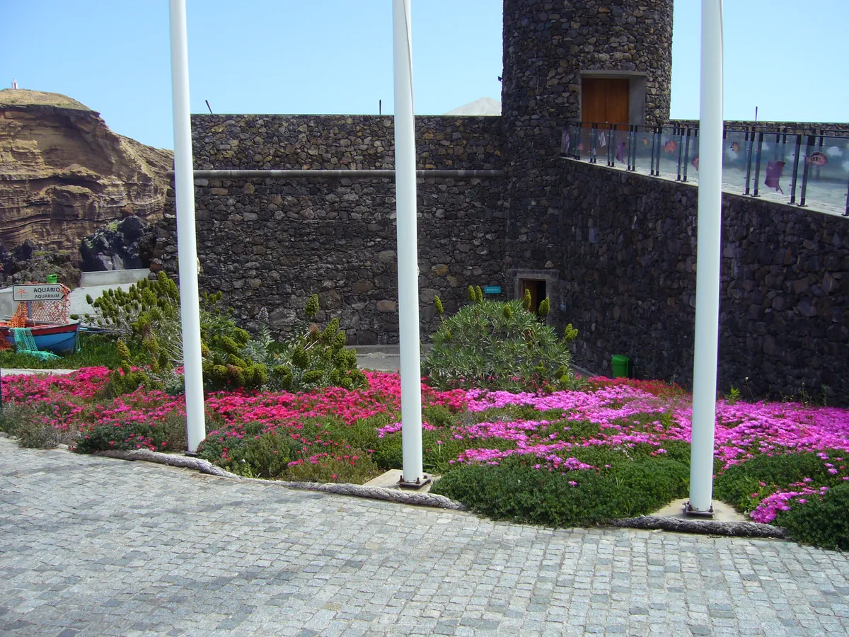 Aquário da Madeira