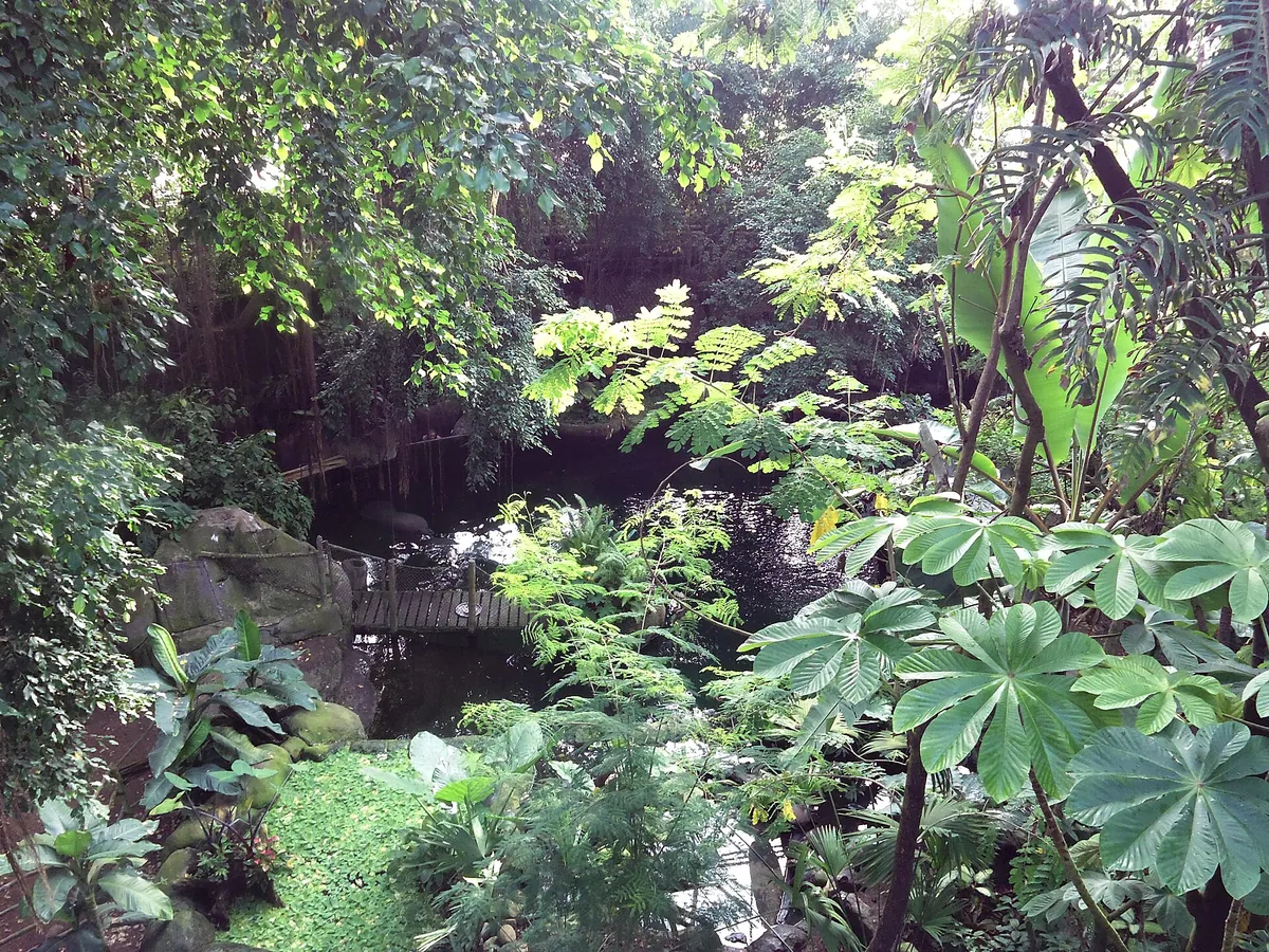 Randers Regnskov, Tropical Zoo