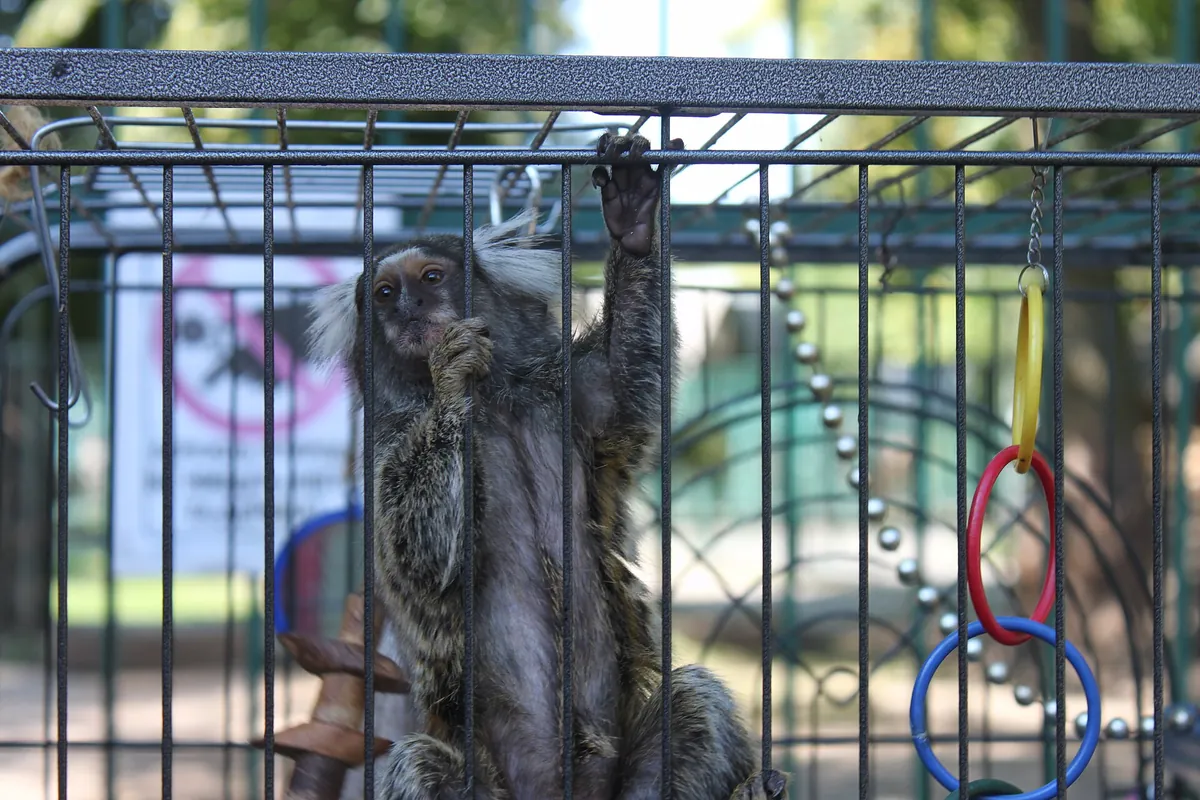 Lutsk Zoo