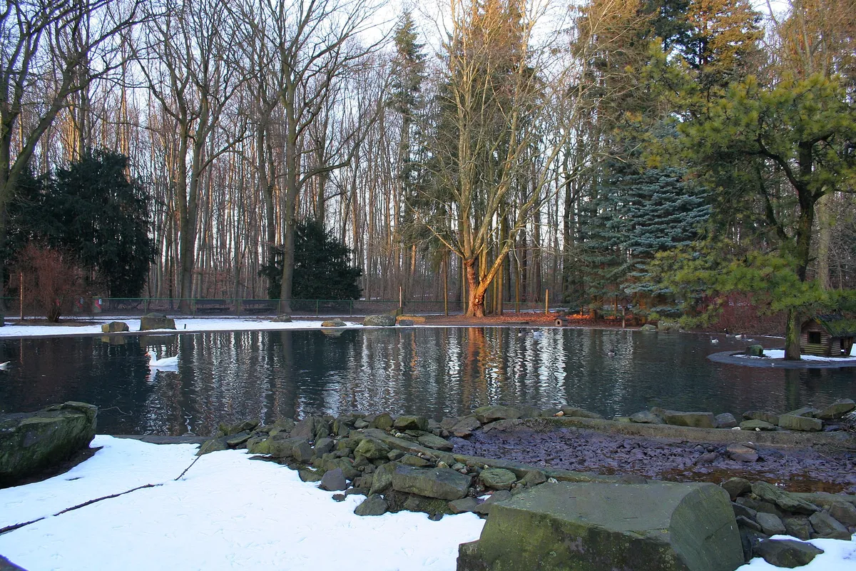 Wildpark Tannenbusch